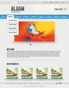 國(guo)外(wai)優(you)秀電子商務(wu)網(wang)頁設(she)計(ji)教程(cheng)與網(wang)絡工(gong)程(cheng)實(shi)踐指(zhi)南